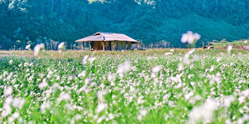 trai-nghiem-khong-dien-khong-4g-di-duoi-lon-bat-ga-o-lang-nguyen-thuy-moc-chau